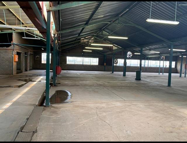 3,000M² WAREHOUSE TO LET IN ANDERBOLT